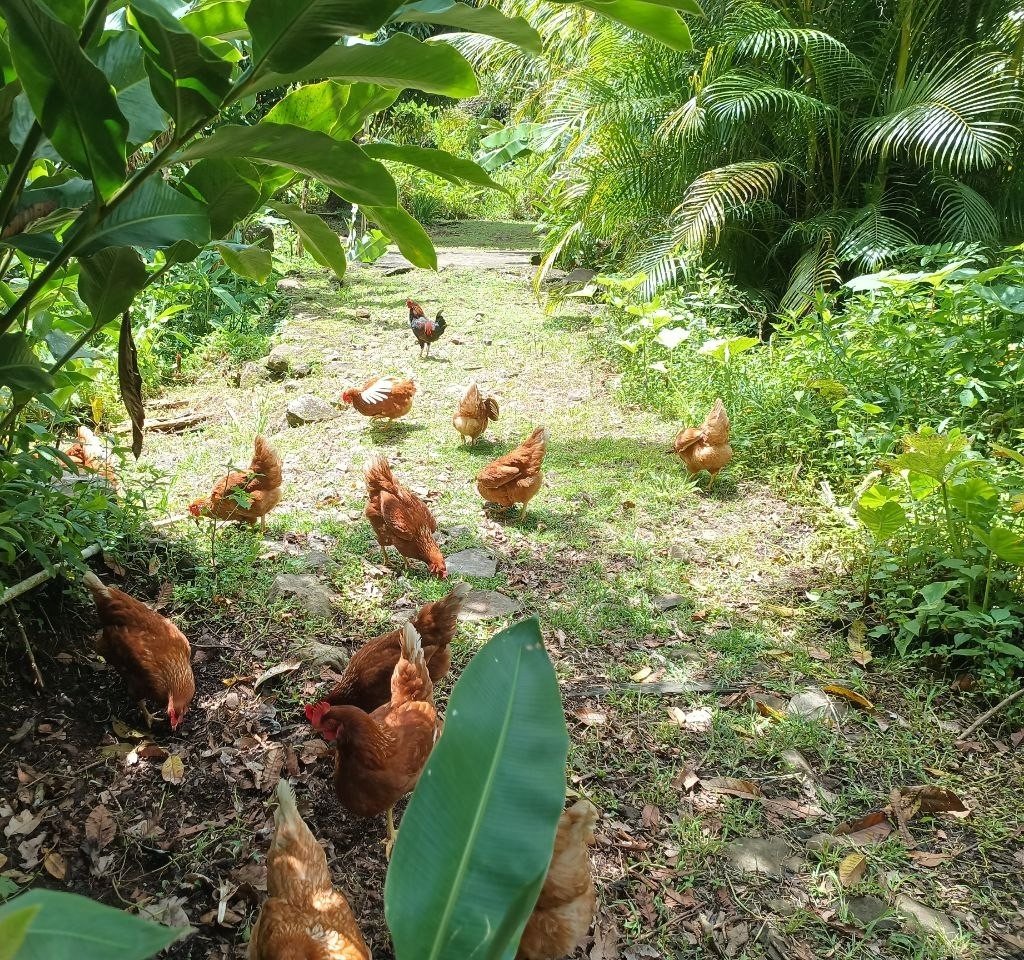 Tierhaltung